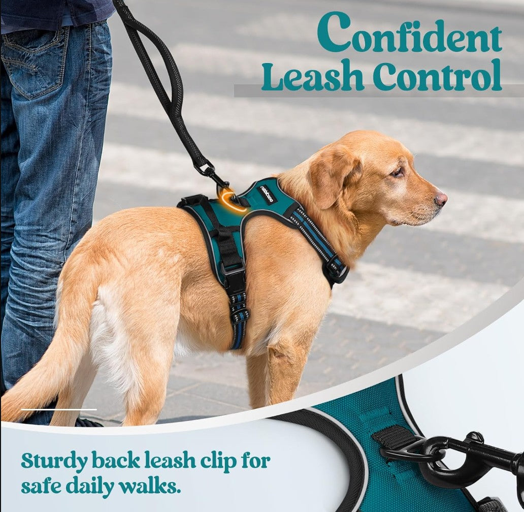 Pet Leash_FurrificPet.com