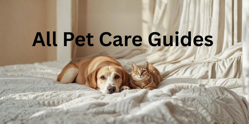 All Pet Care Guides_FurrificPet.com