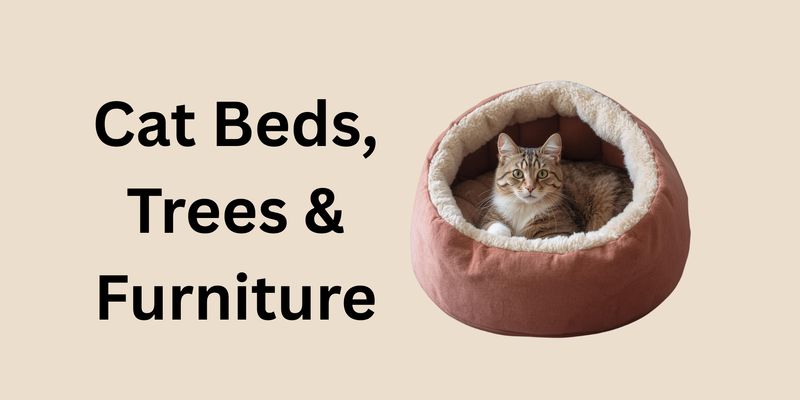 Cat Beds, Trees & Furniture_FurrificPet.com