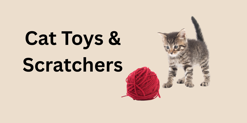Cat Toys & Scratchers_FurrificPet.com