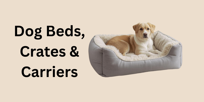 Dog Beds, Crates & Carriers