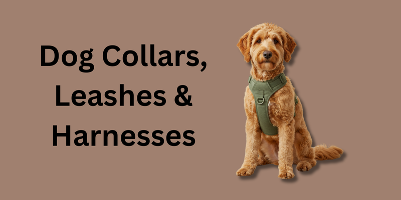 Dog Collars, Leashes & Harnesses