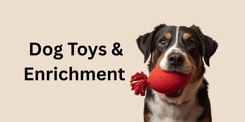 Dog Toys & Enrichment