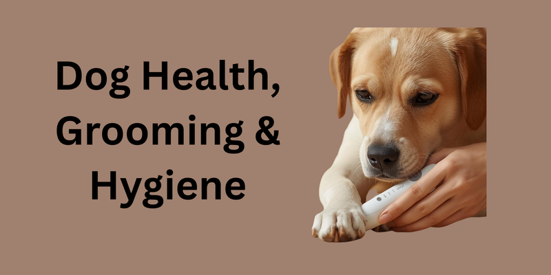 Dog Health, Grooming & Hygiene_FurrificPet.com