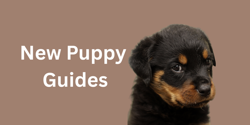 New Puppy Guides_FurrificPet.com