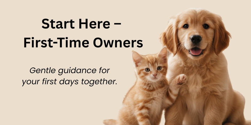 Start Here –  First-Time Owners_FurrificPet.com