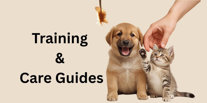  Training and Care Guides_FurrificPet.com