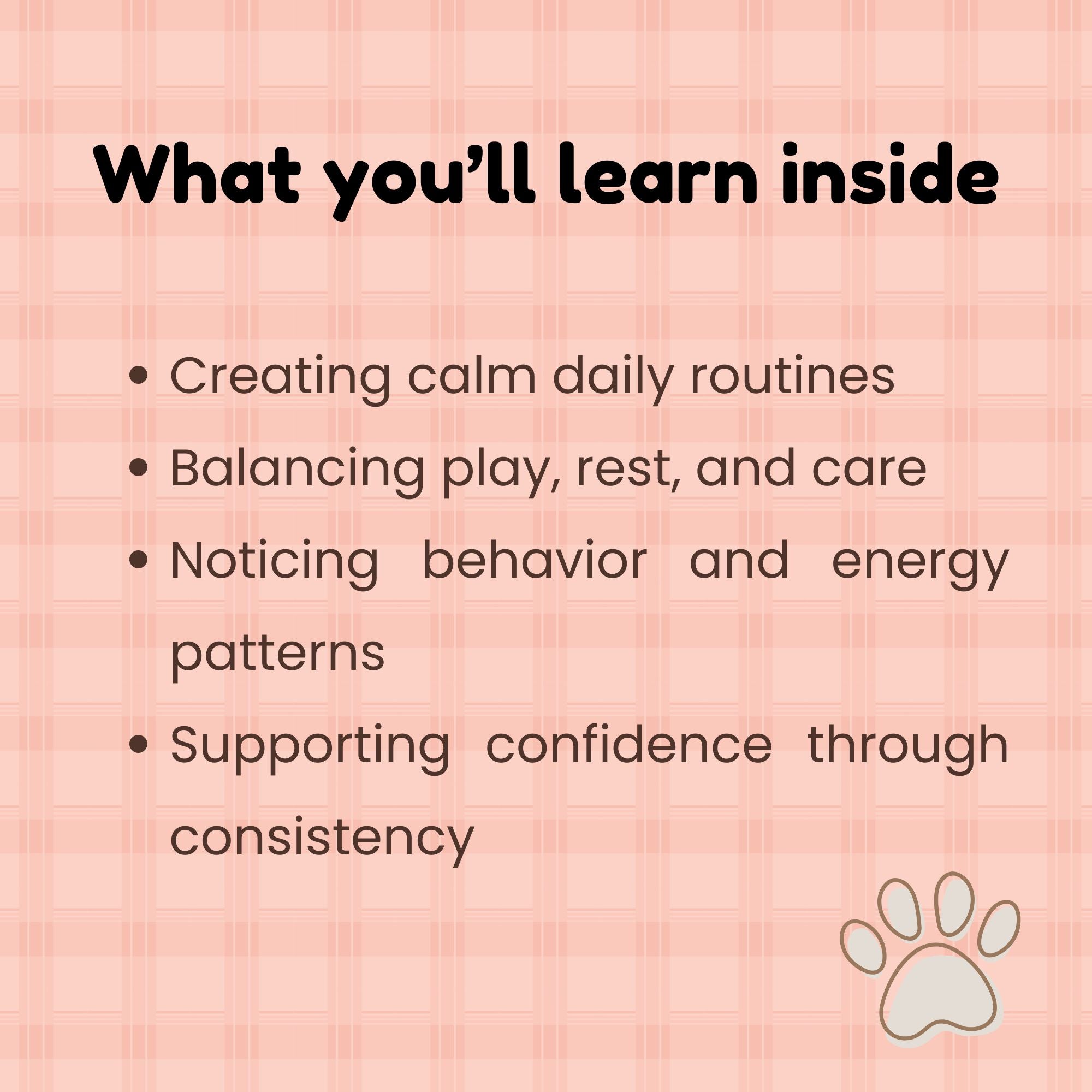 Daily Kitten Planner_what youll learn inside_FurrificPet.com