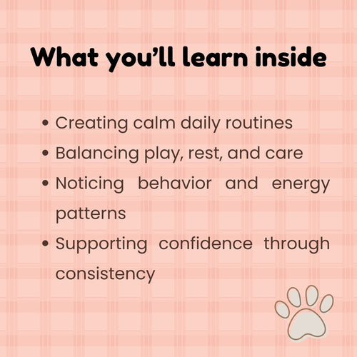 Daily Kitten Planner_what youll learn inside_FurrificPet.com