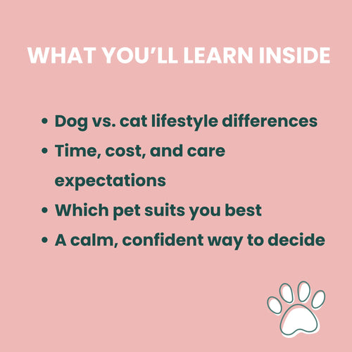 Dog or Cat? A Calm Beginner’s Guide to Choosing the Right Pet_What youll learn inside_FurrificPet