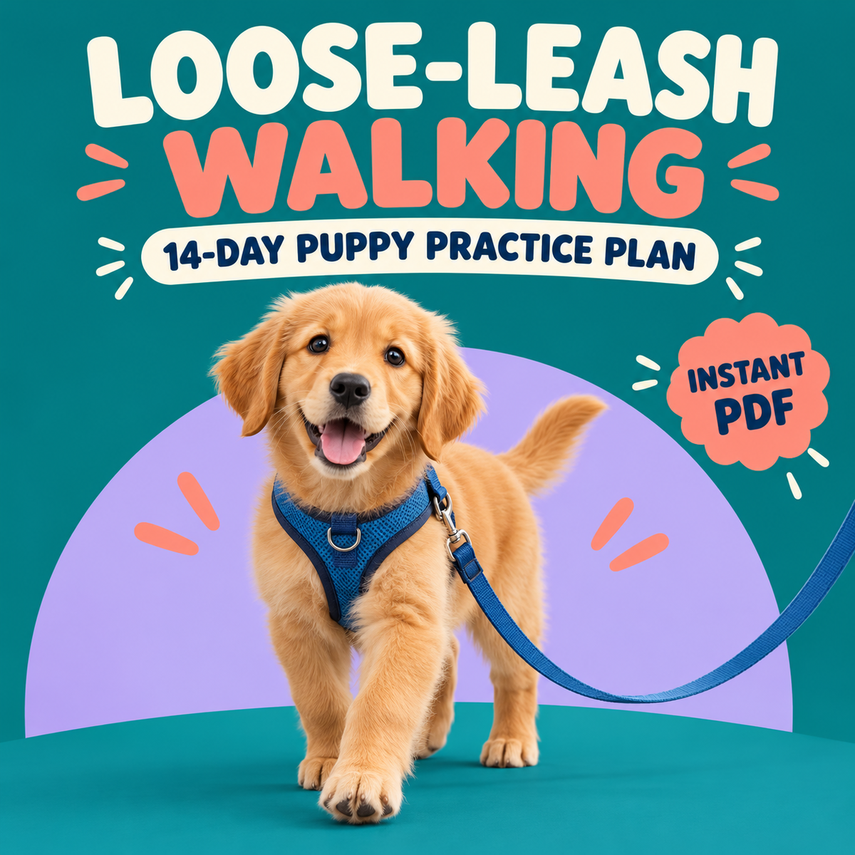 Loose-Leash Walking: 14-Day Puppy Practice Plan (Instant PDF)