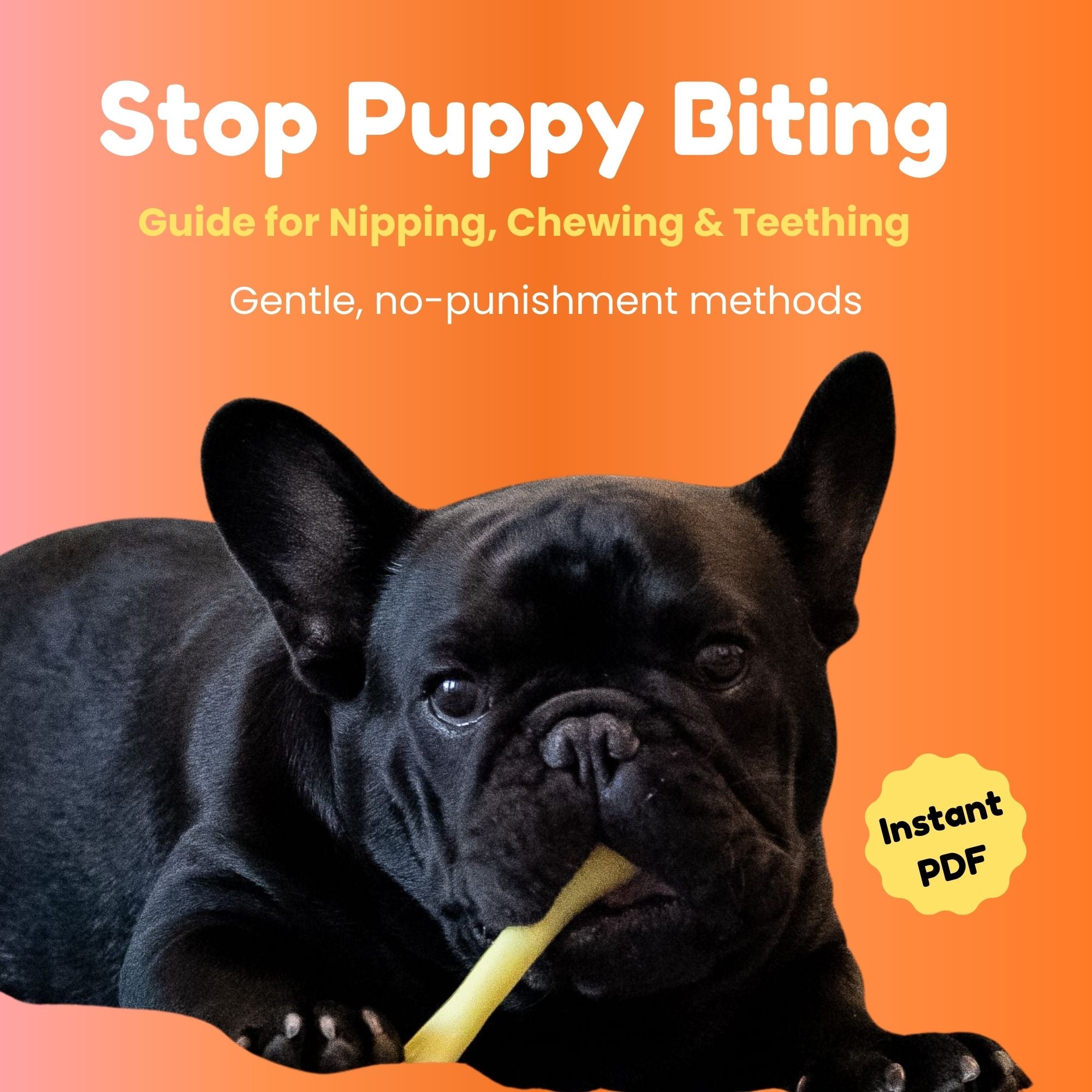 How to stop puppy bitting cover