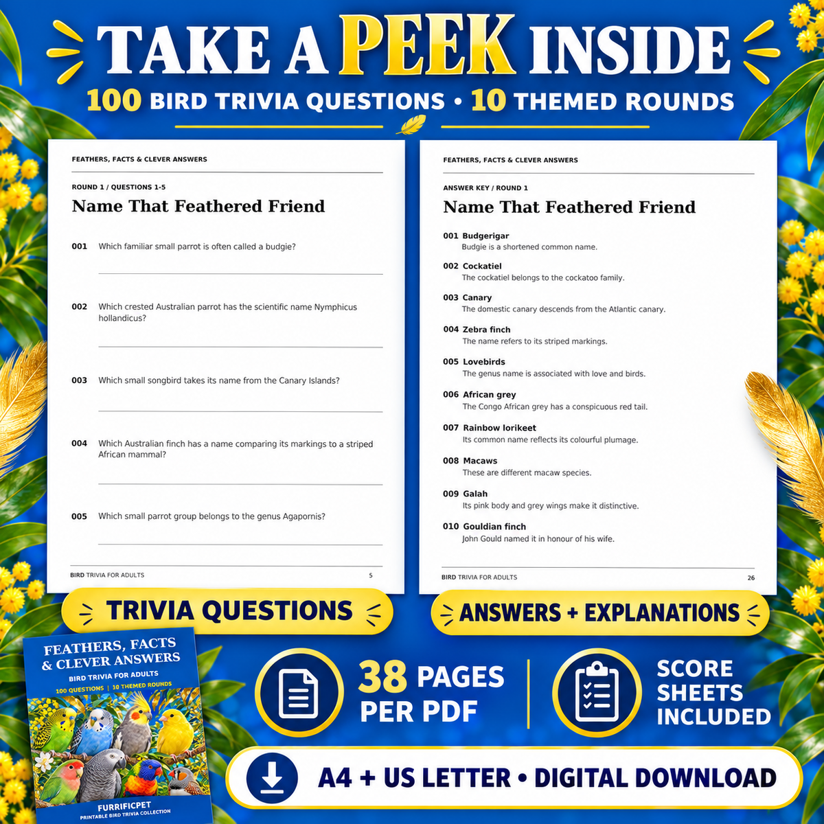 Bird Trivia for Adults – 100 Questions Printable PDF | Feathers, Facts & Clever Answers