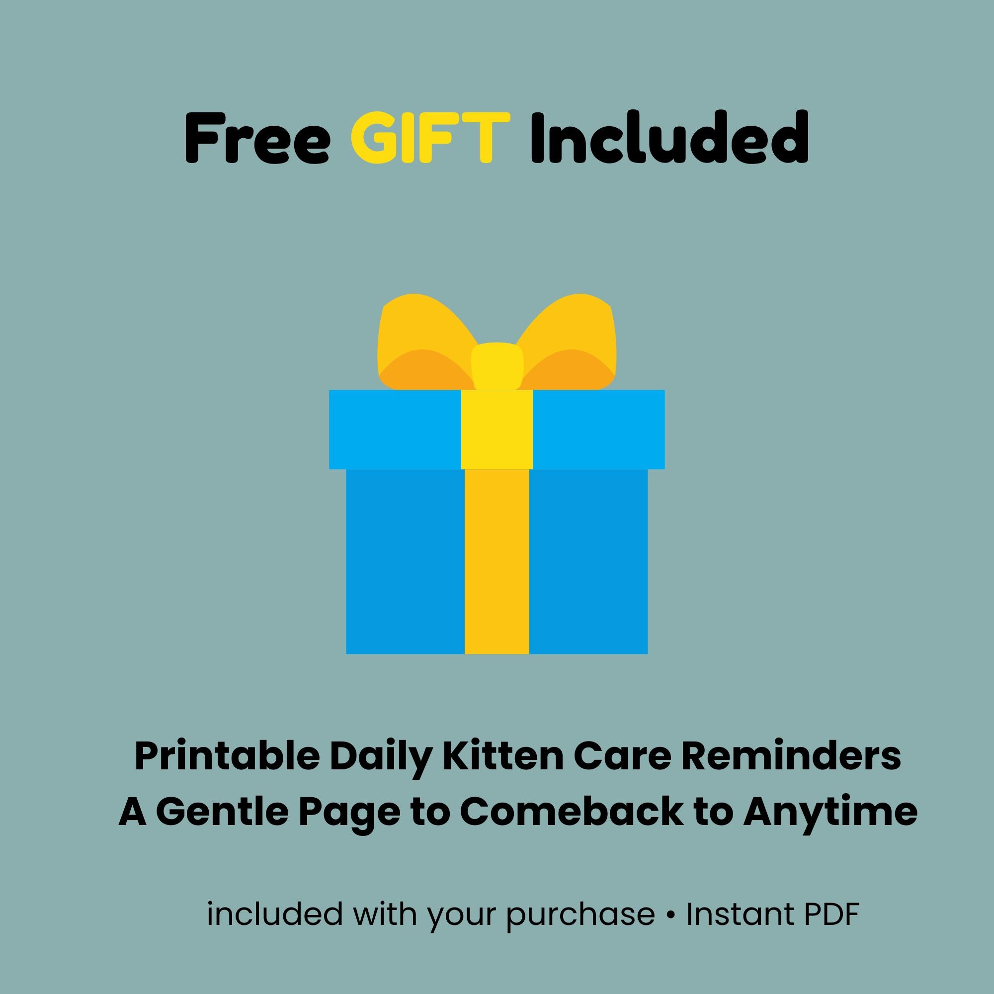  Life With Your New Kitten – First 30 Days Guide_free gift included_FurrificPet.com