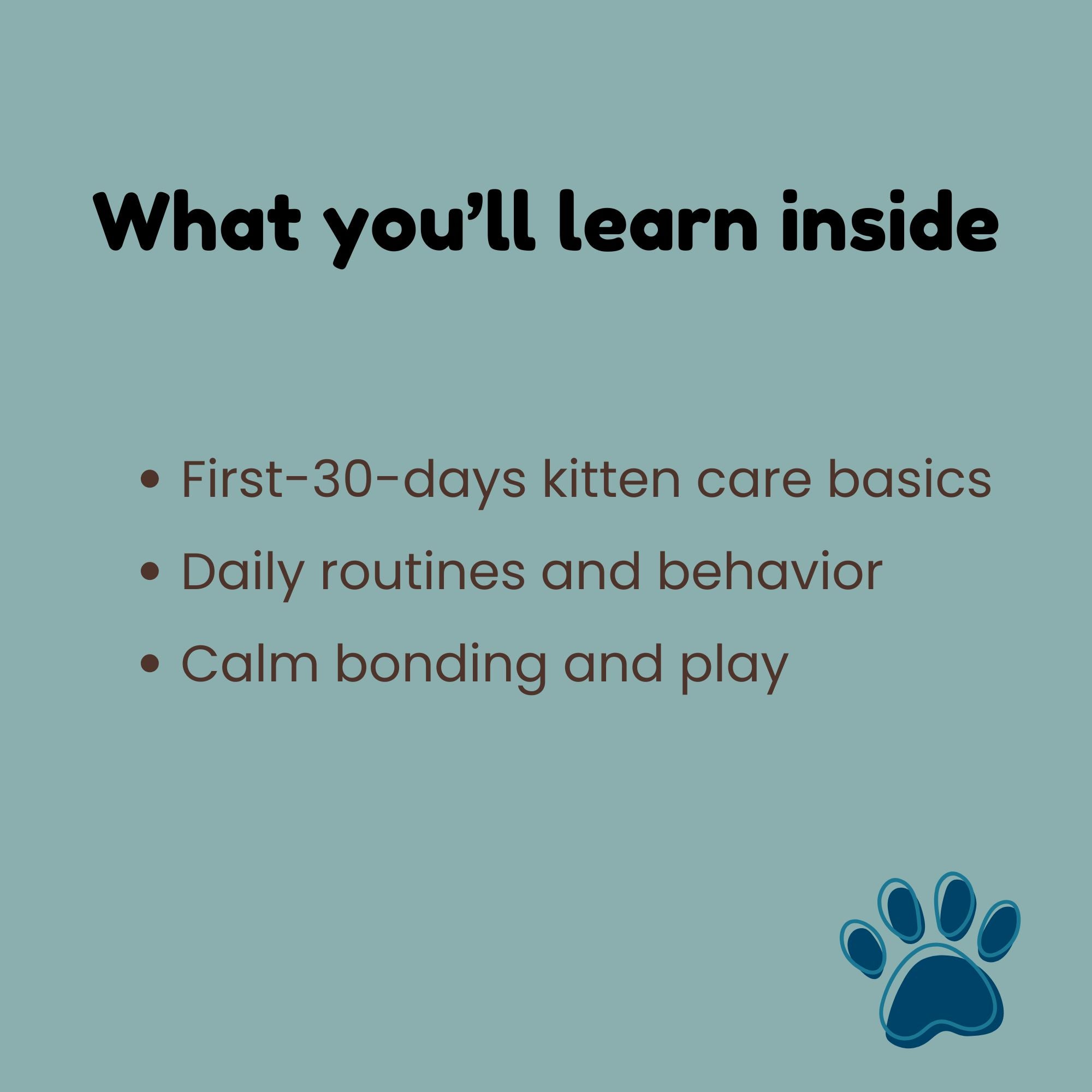 Life With Your New Kitten – First 30 Days Guide_what youll learn inside_FurrificPet.com