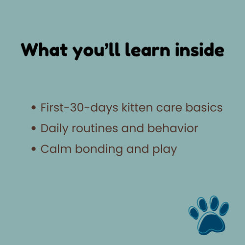 Life With Your New Kitten – First 30 Days Guide_what youll learn inside_FurrificPet.com