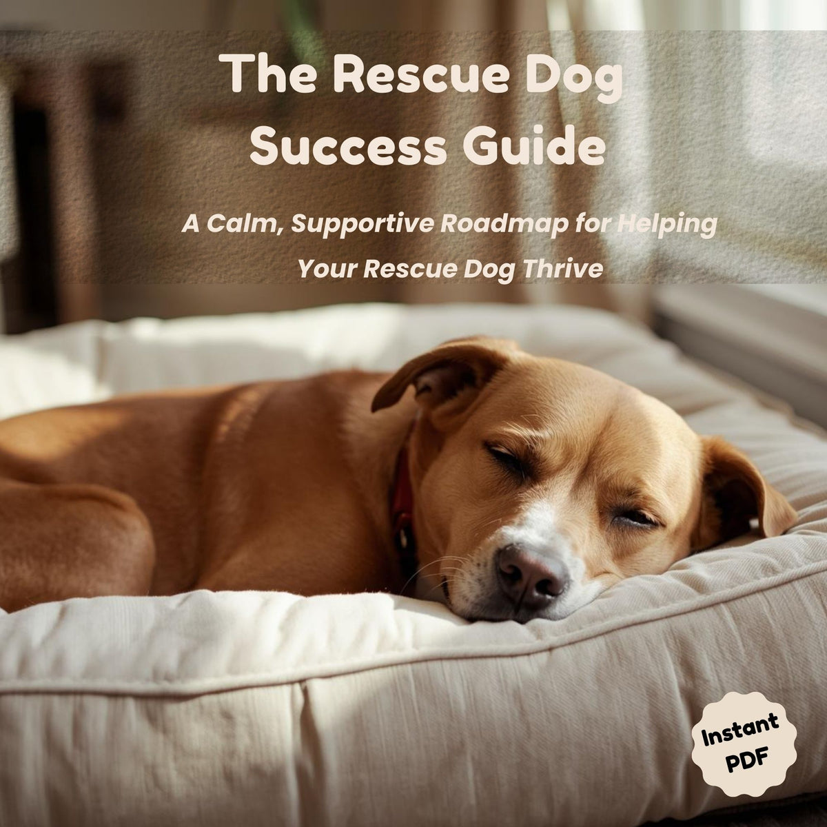 Support Pet Rescue Rescue Dog Success Guide | Calm Support for New Rescue Dog Owners ...