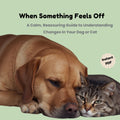 When Something Feels Off_cover_Furrificpet.com