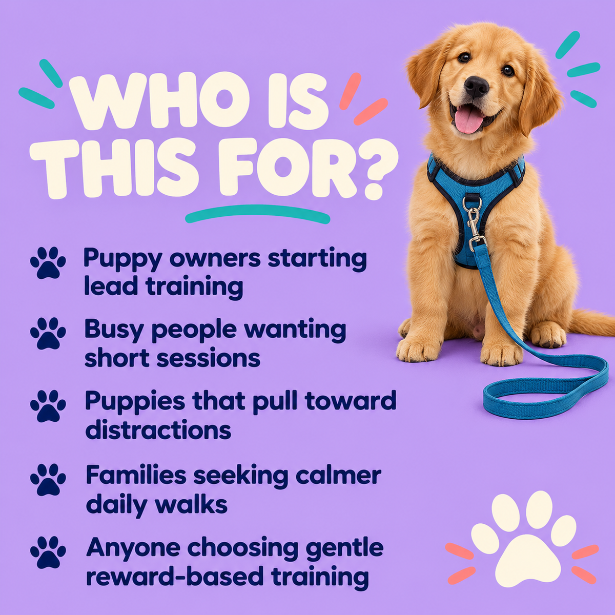 Loose-Leash Walking: 14-Day Puppy Practice Plan (Instant PDF)