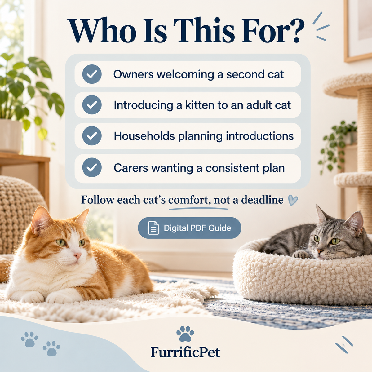 Bringing Home a Second Cat: A Gentle Introduction Guide & Printable Planner (PDF)