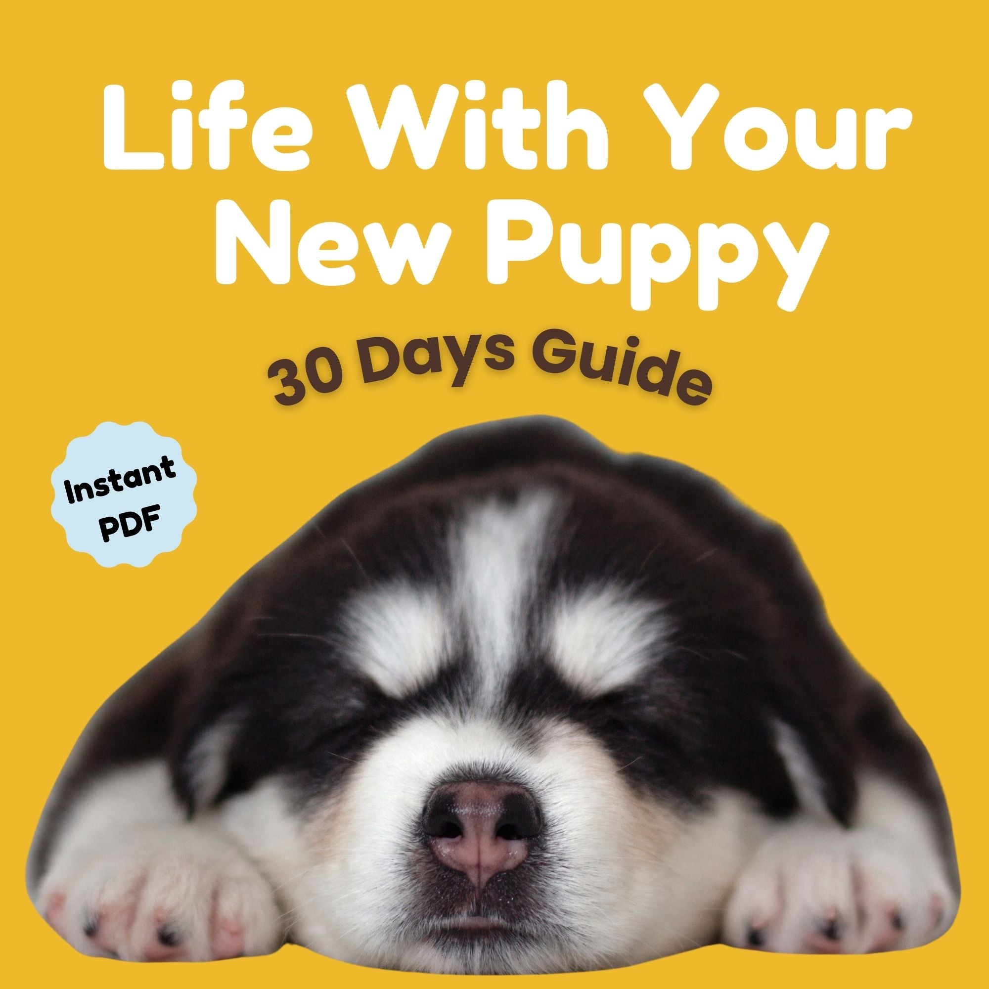 life-with-your-new-puppy-30-day-guide
