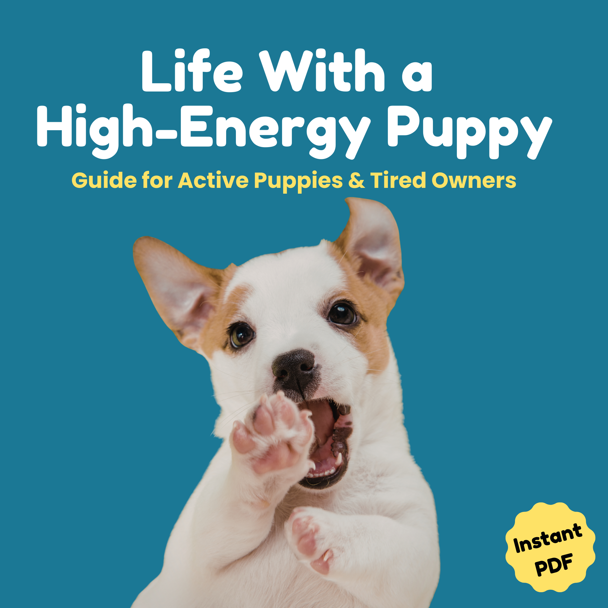 life with high energy puppy cover