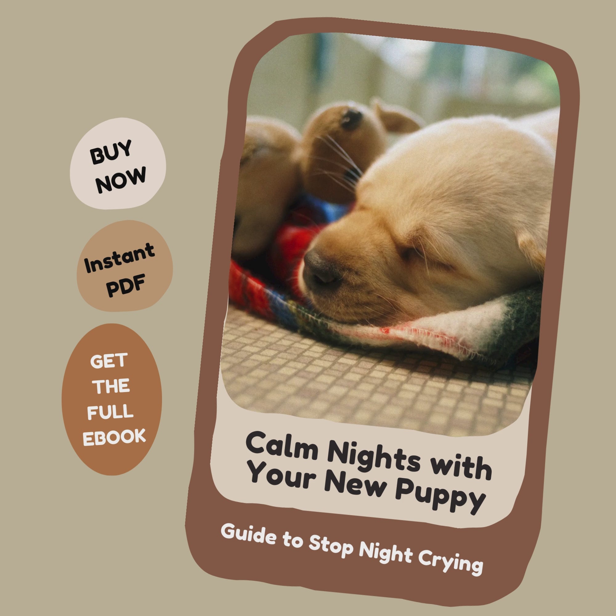 Calm Nights with Your New Puppy Video_FurrificPet.com