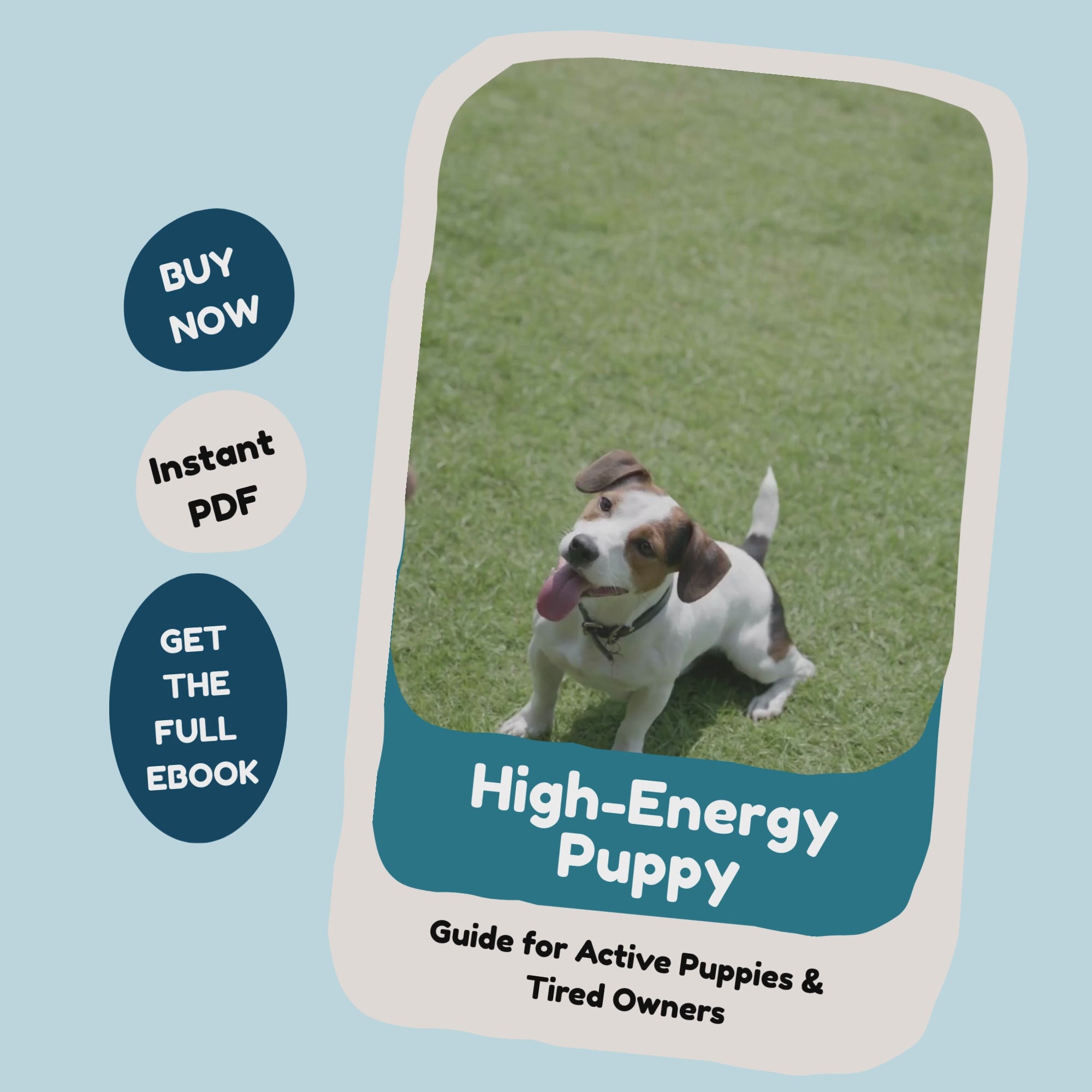 life with high energy puppy video_furrificpet