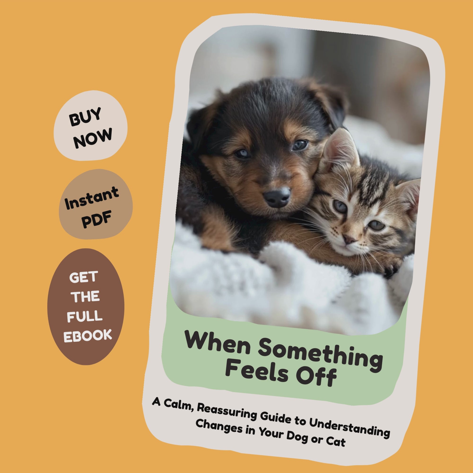 When Something Feels Off_ video_furrificpet.com