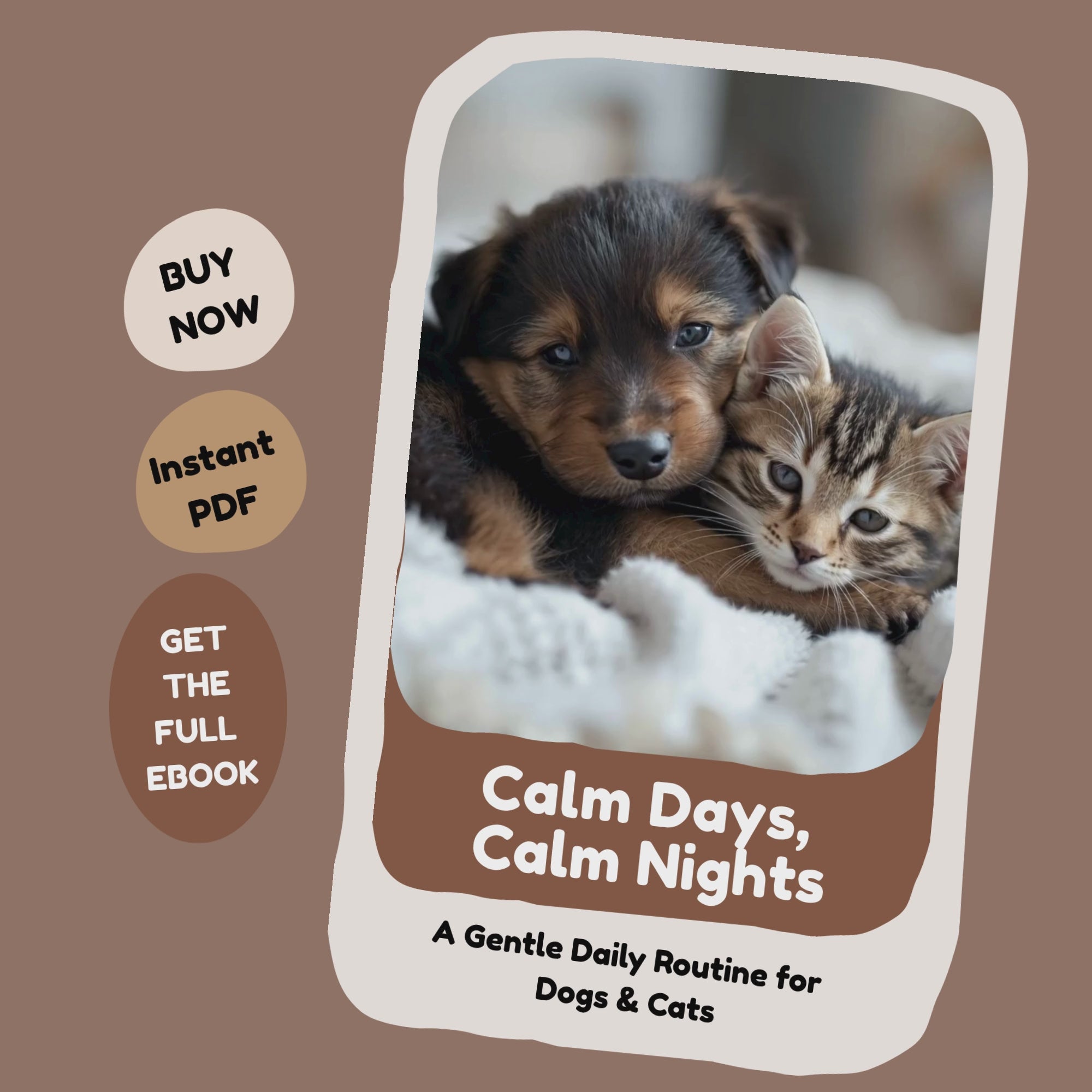 Calm Days, Calm Nights_FurrificPet.com_video