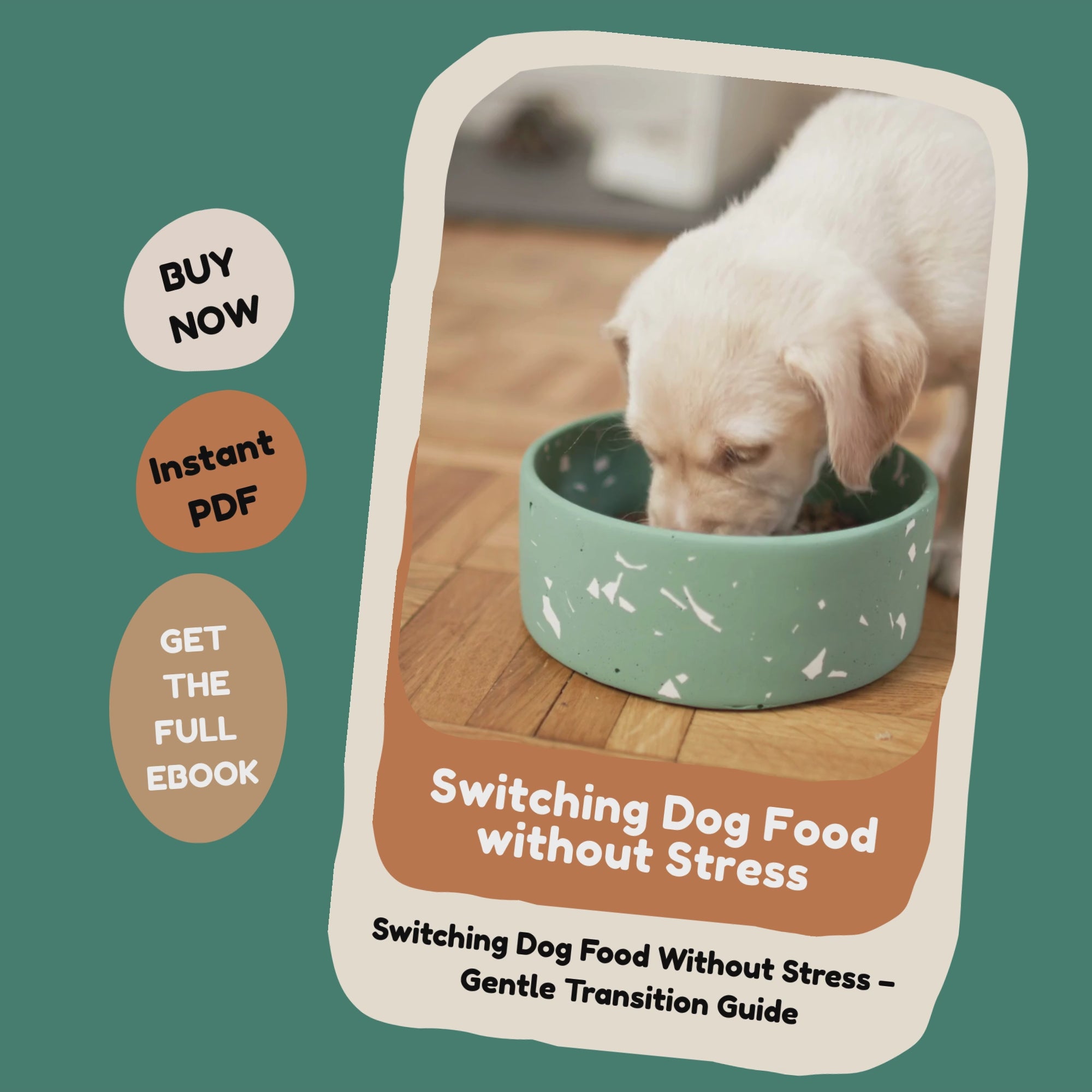 Switching Dog Food Without Stress – Gentle Transition Guide_FurrificPet.com