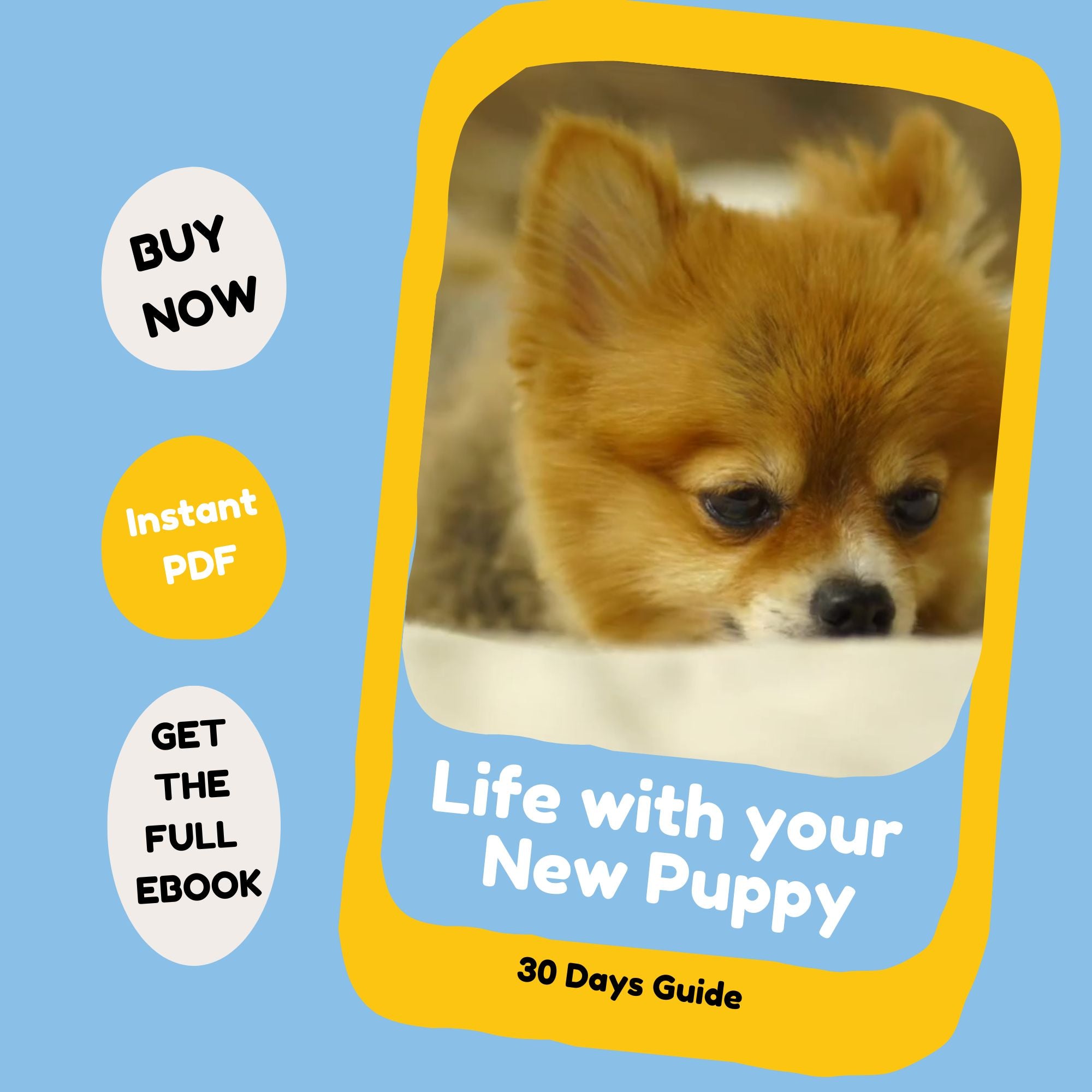 Life With your new puppy 30 days guide video