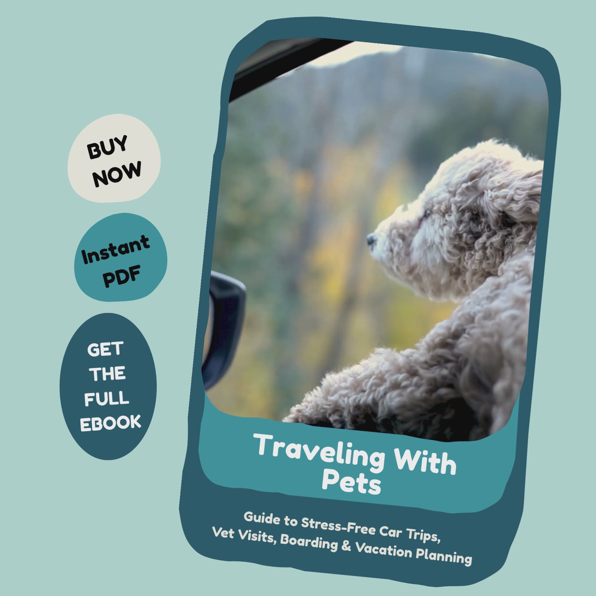 Travelling with pets_video_FurrificPet.com