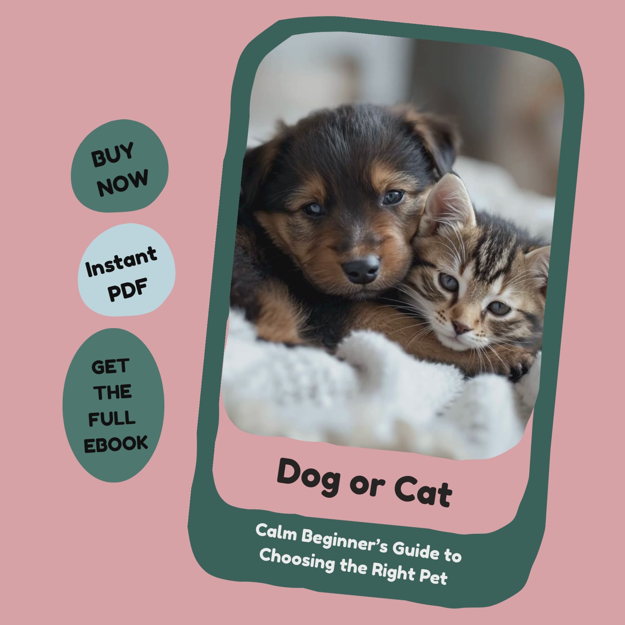 Dog or Cat? A Calm Beginner’s Guide to Choosing the Right Pet_video_furrificpet