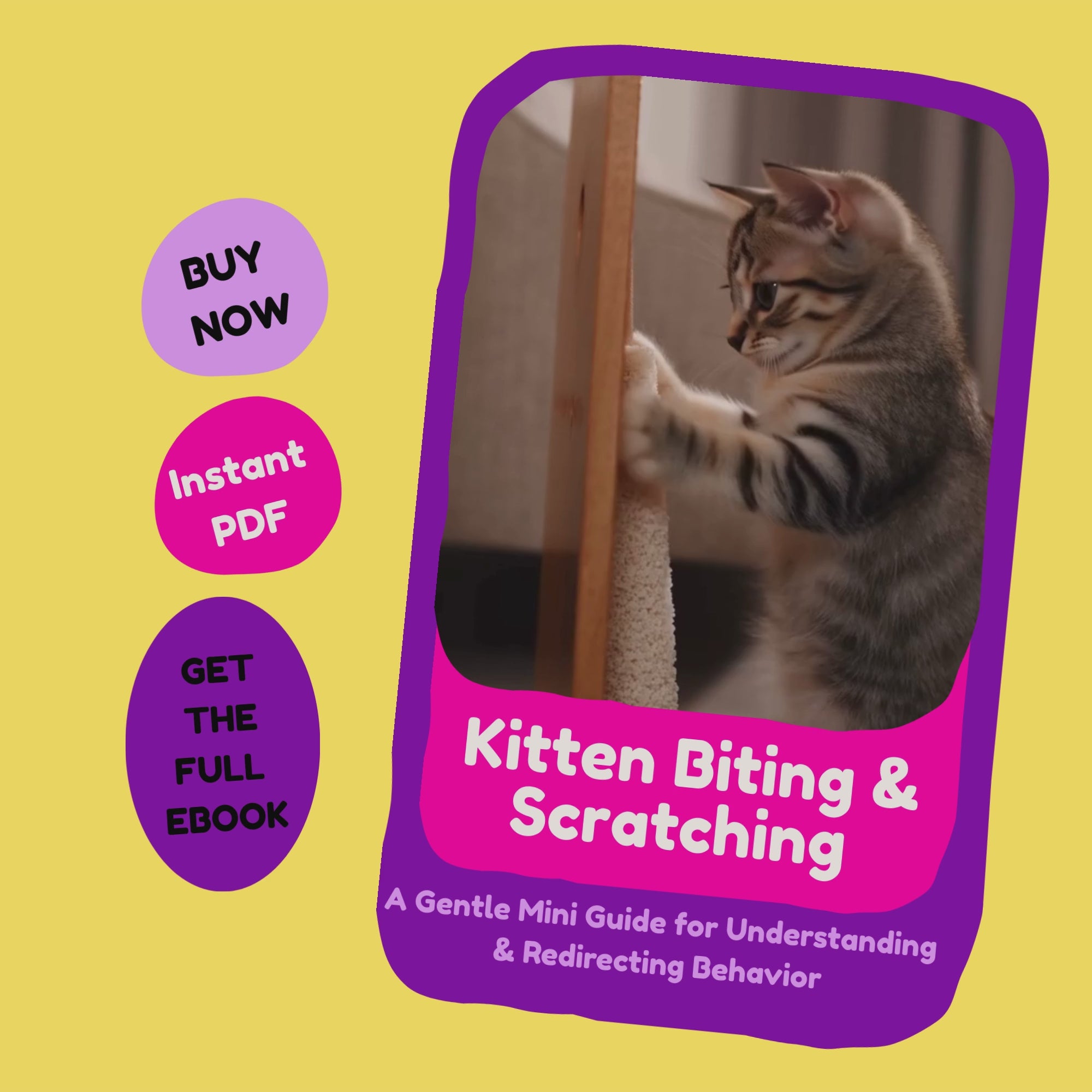 kitten biting & scratching_furrificpet_video